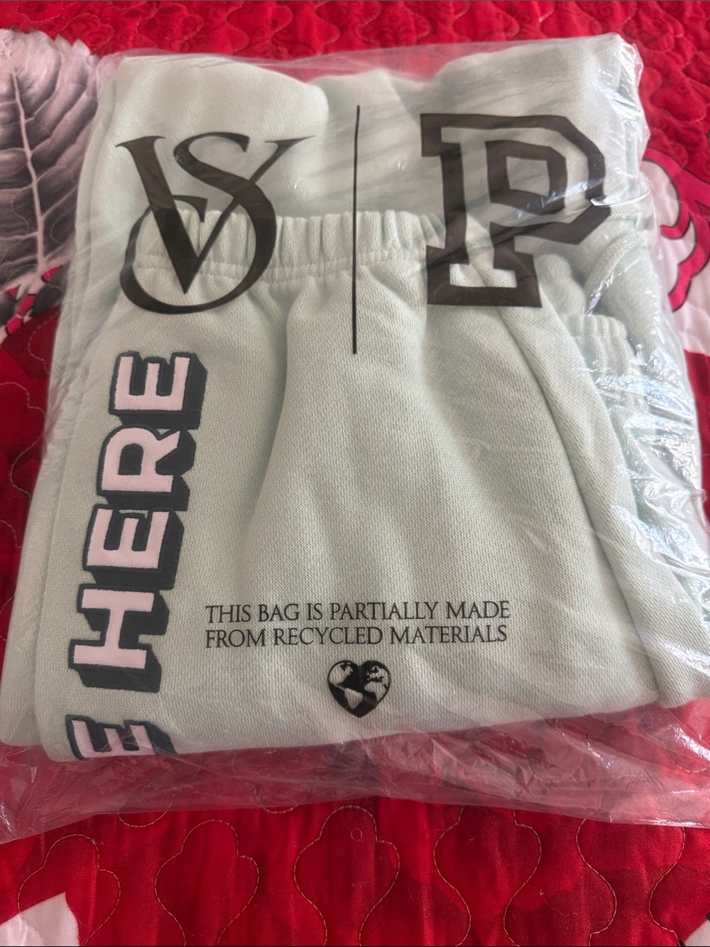 PINK Light Mint Logo  campus pants